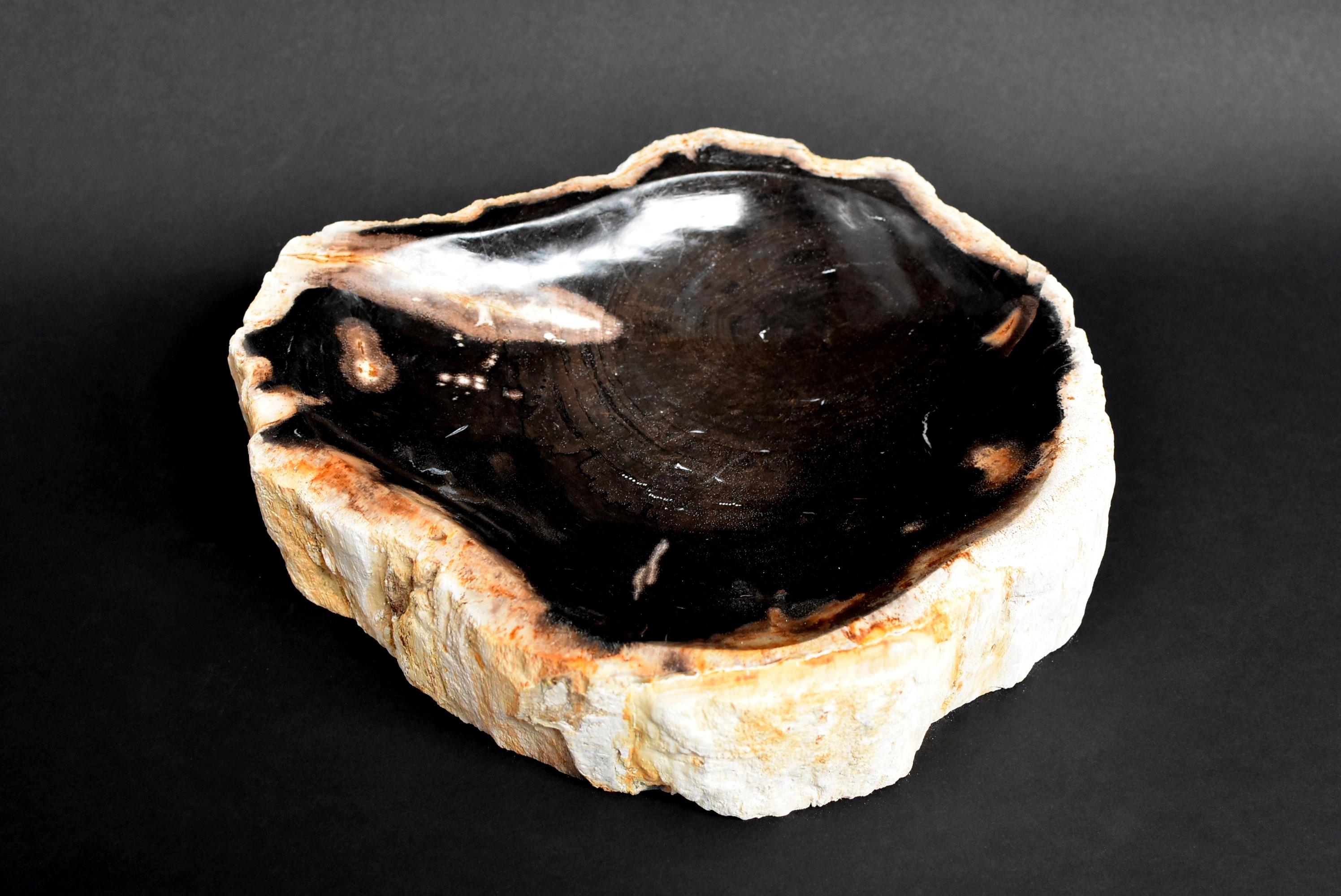 Hand-Crafted Petrified Wood Dish For Sale