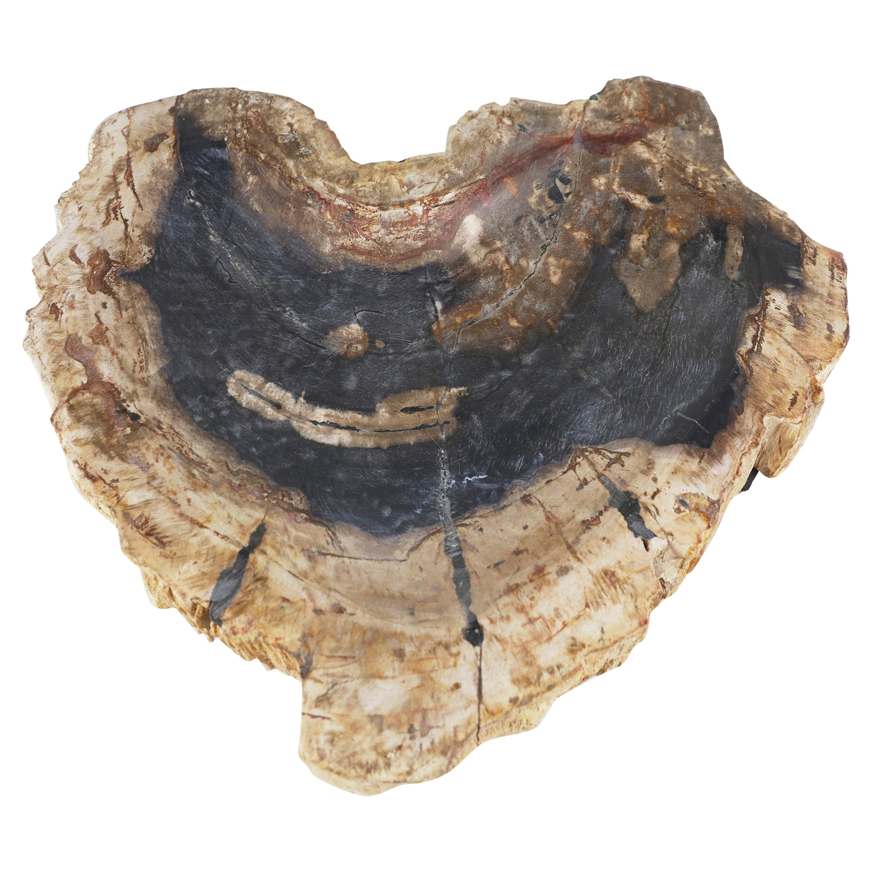 Petrified Wood Dish