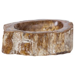 Petrified Wood Dish Vide-Poche, France 1960's