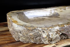 Petrified Wood Double Sink Polished Top Quality