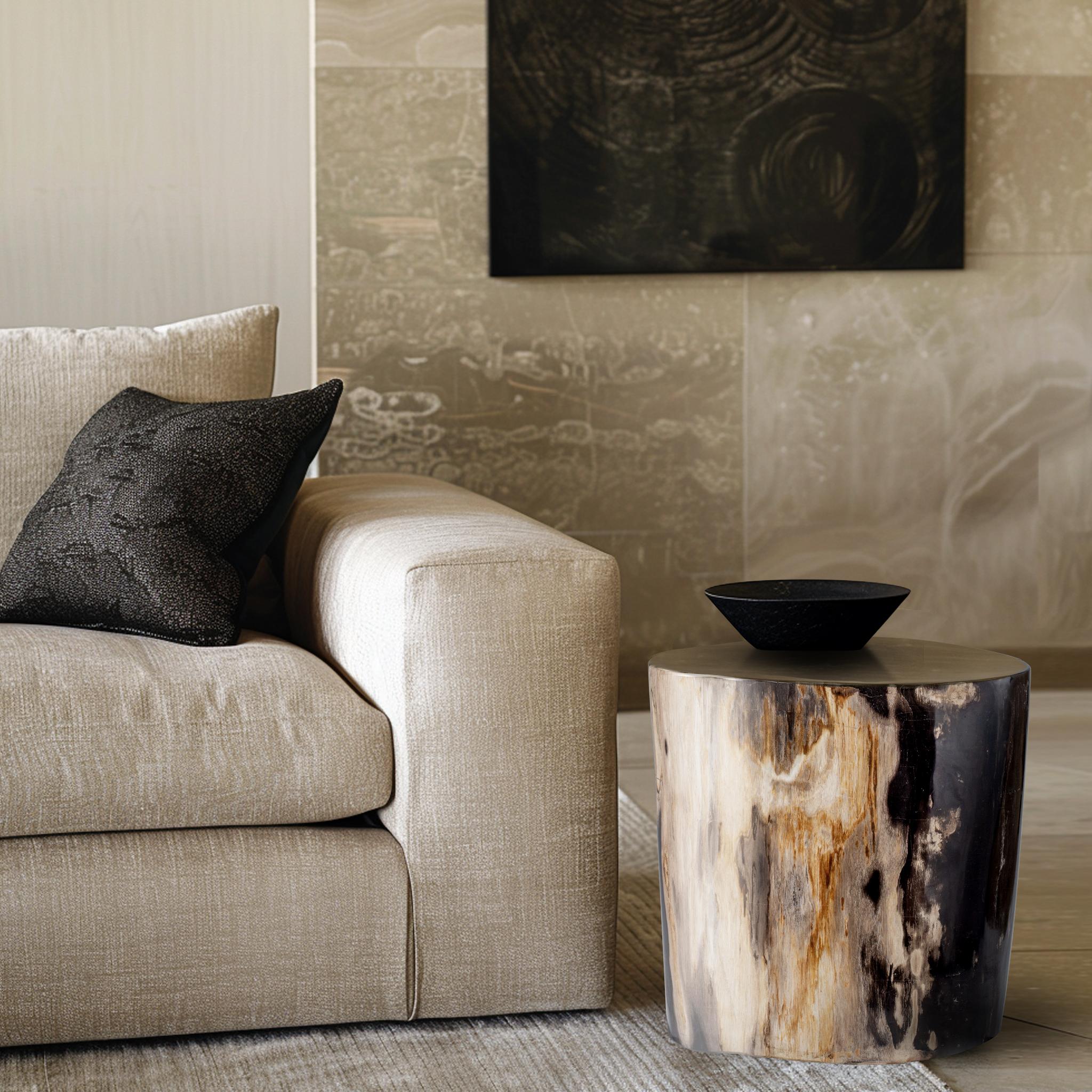 This petrified wood side table is a unique piece that beautifully merges nature’s artistry with modern design. The smooth, polished surface showcases the intricate fossilized grain patterns, offering a blend of ivory and dark tones that create a