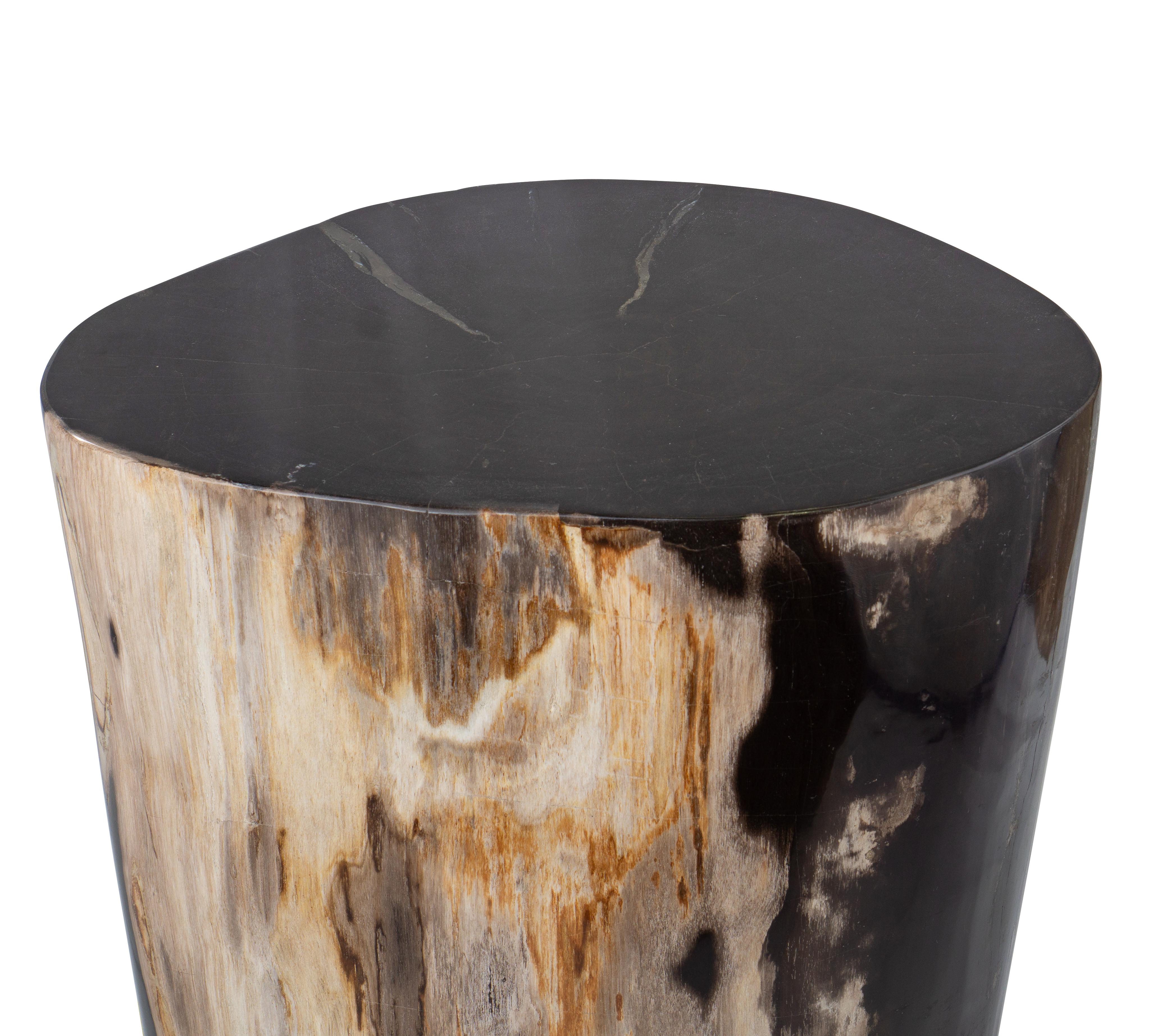 Organic Modern Petrified Wood End Table with Polished Finish For Sale