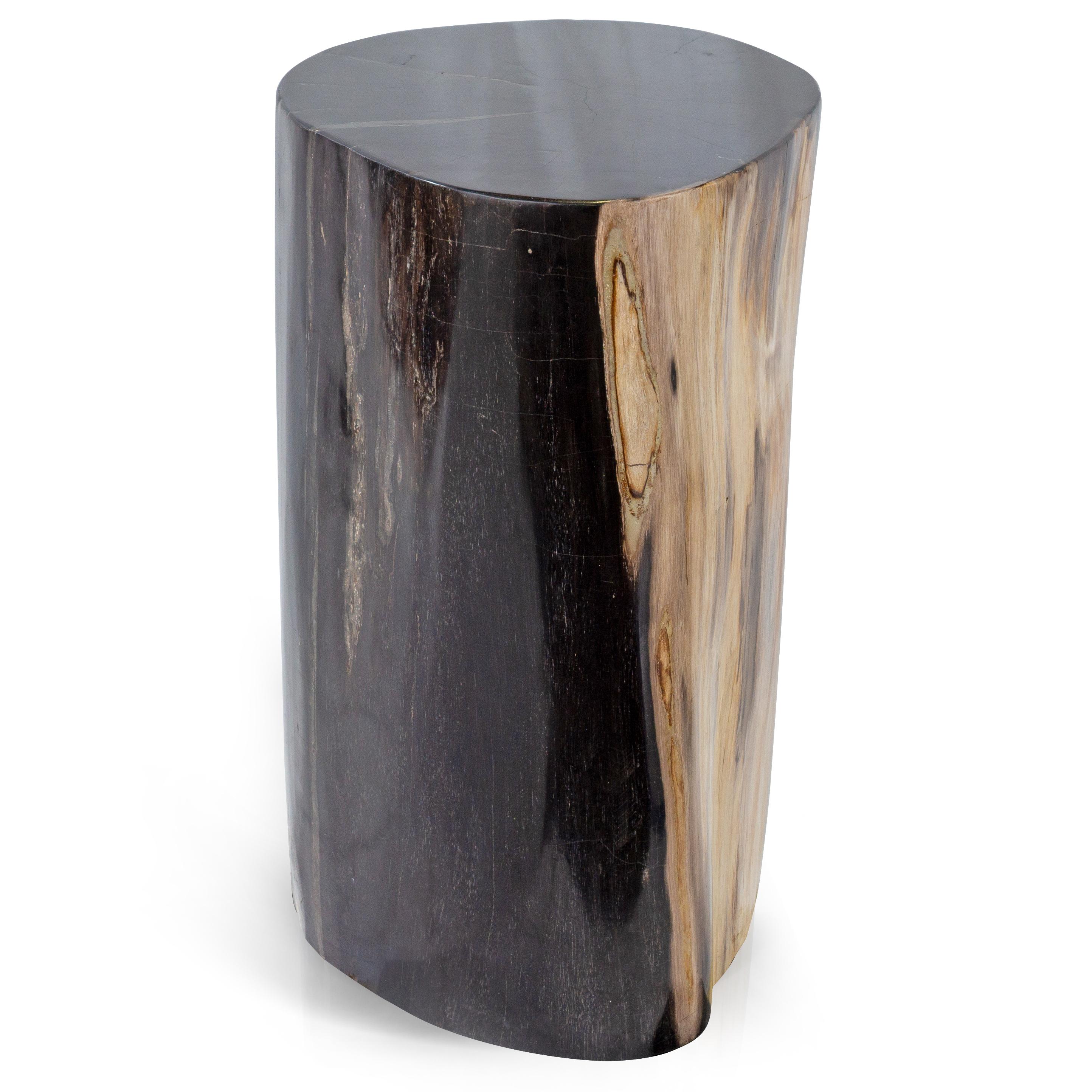 Indonesian Petrified Wood End Table with Polished Finish For Sale