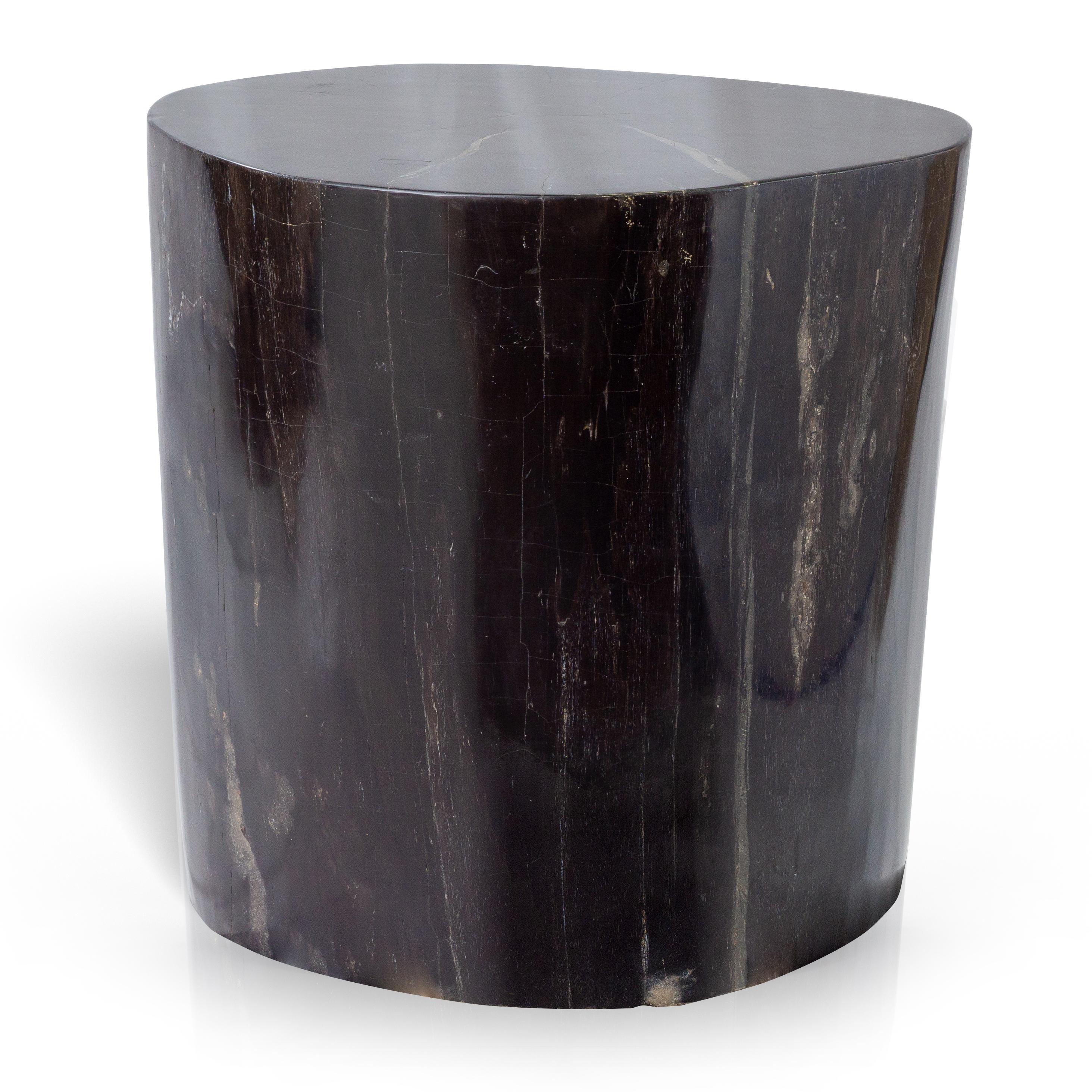 Petrified Wood End Table with Polished Finish In Excellent Condition For Sale In Feasterville Trevose, PA