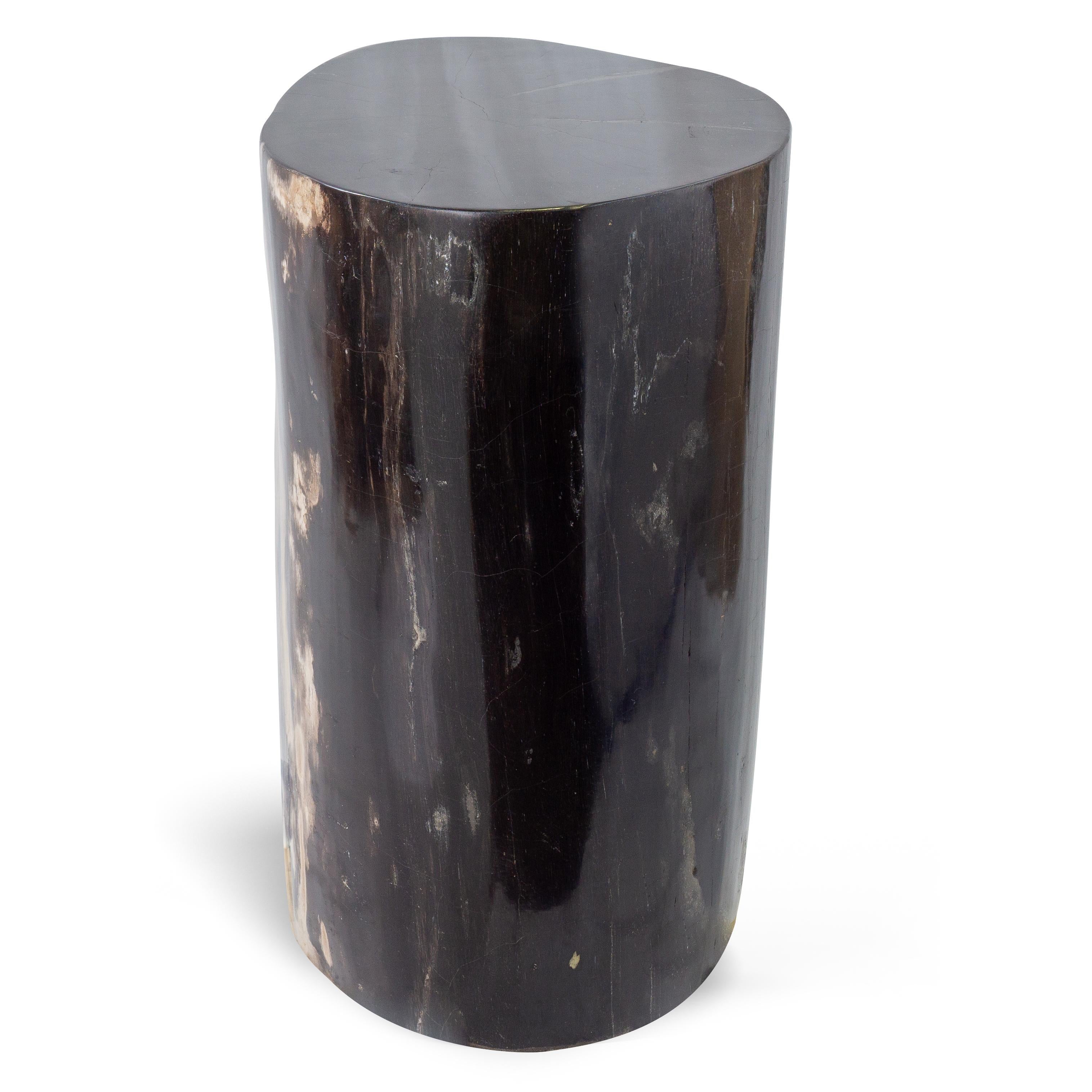 Contemporary Petrified Wood End Table with Polished Finish For Sale