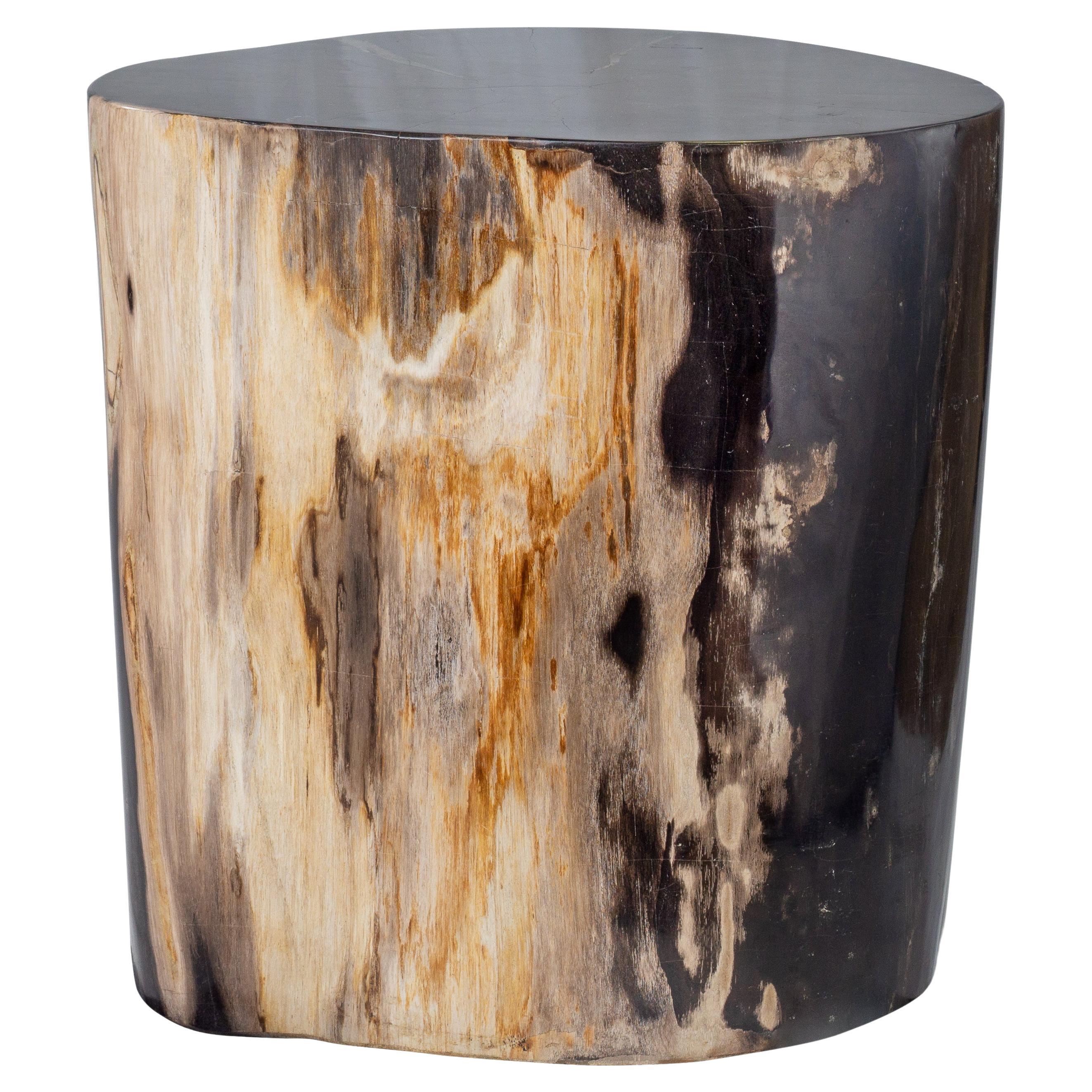 Petrified Wood End Table with Polished Finish For Sale