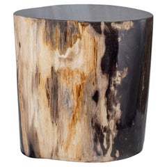 Petrified Wood End Table with Polished Finish