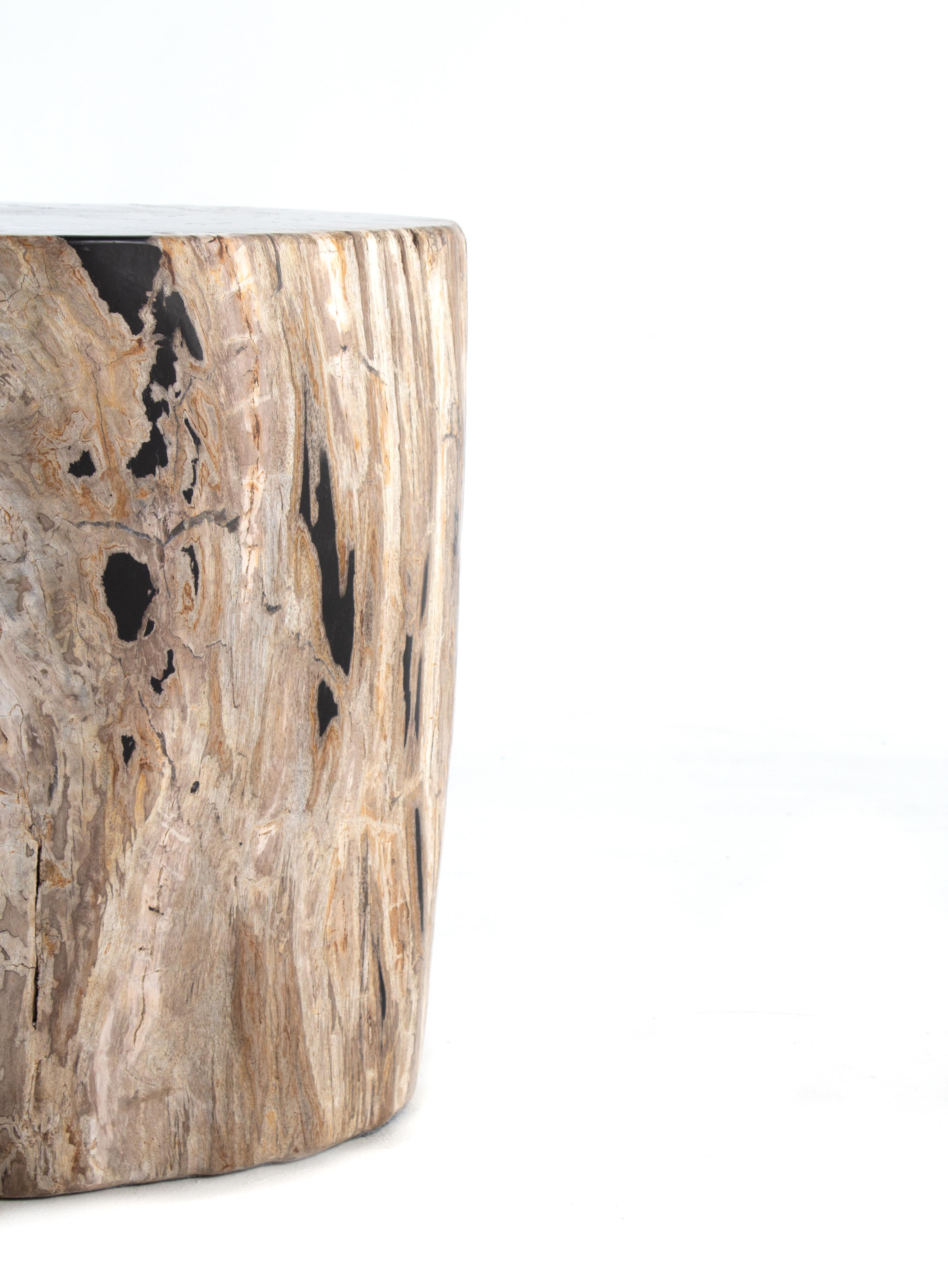 Petrified wood end table