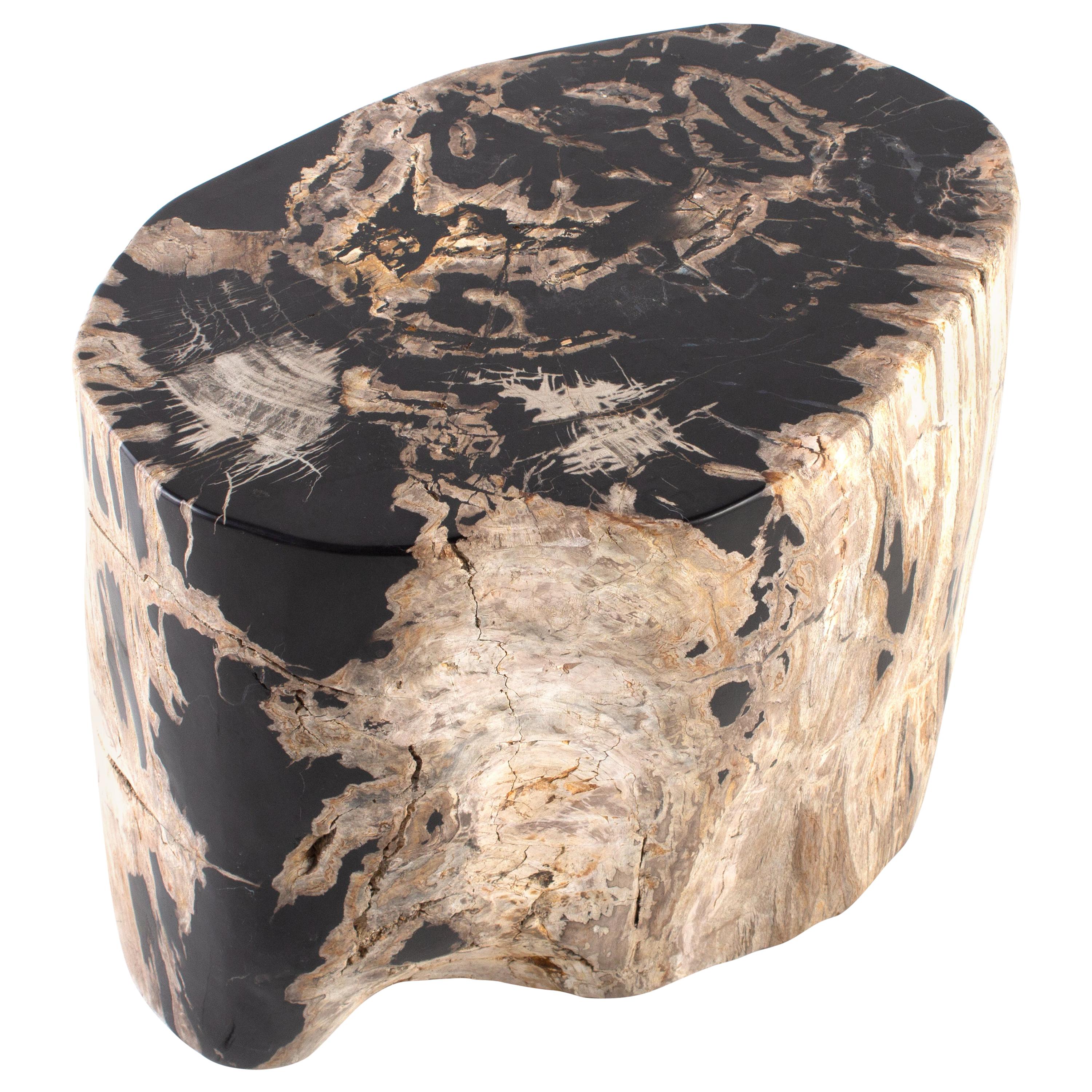 Petrified Wood End Table