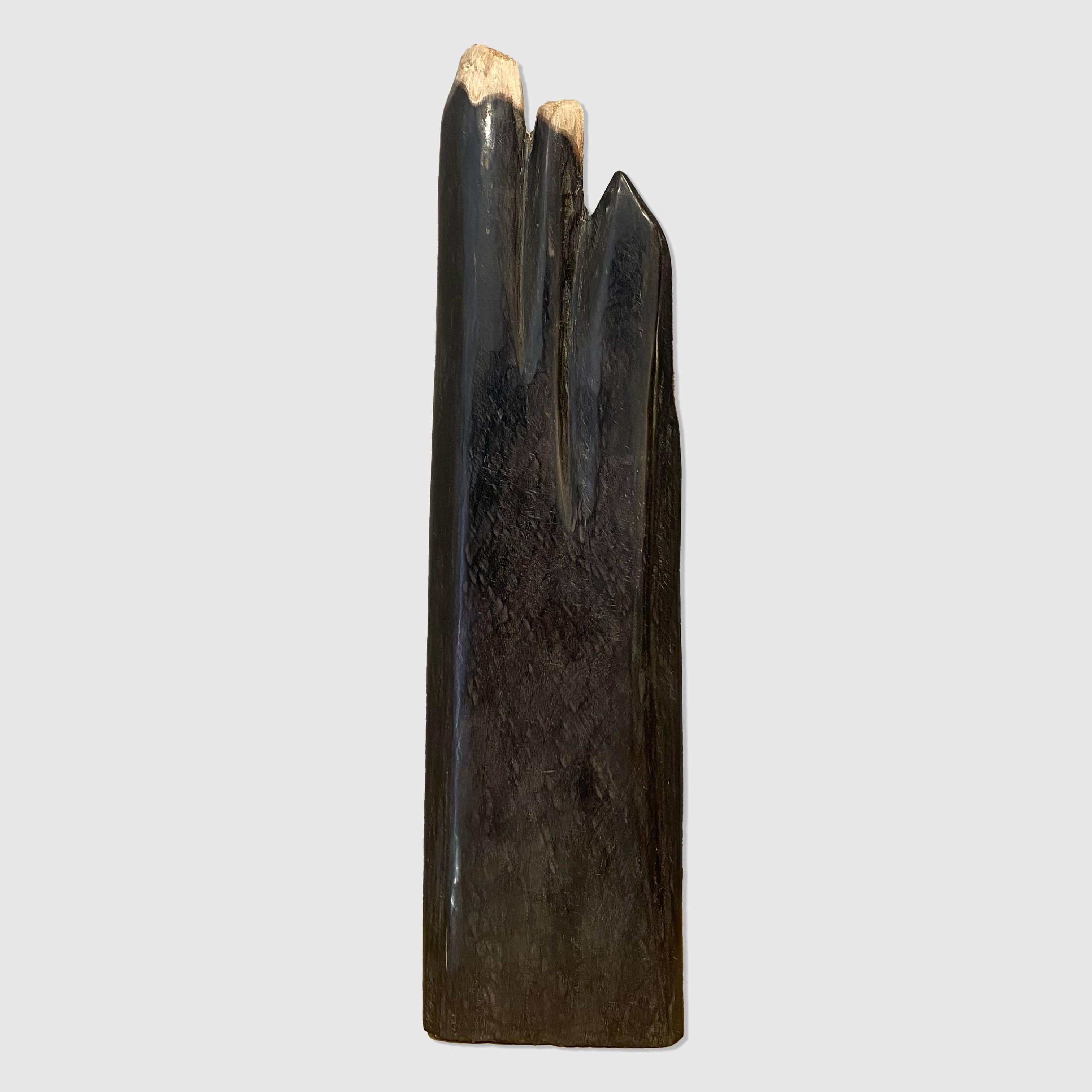 Fossilised wood
150 million years old
48 x 13 x 6 cm
Indonesia
£250

