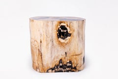 Petrified wood