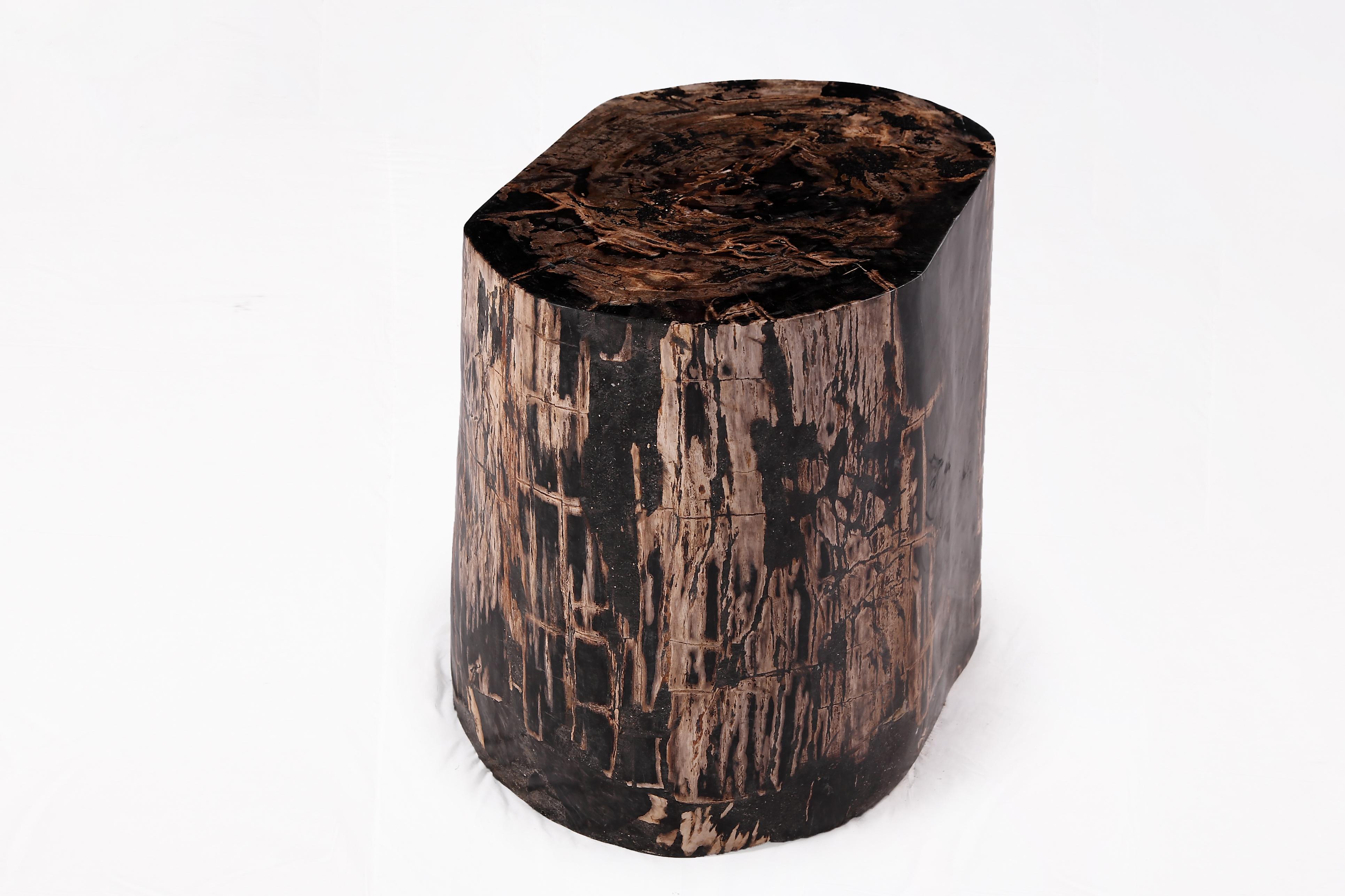 Asian Petrified wood  For Sale