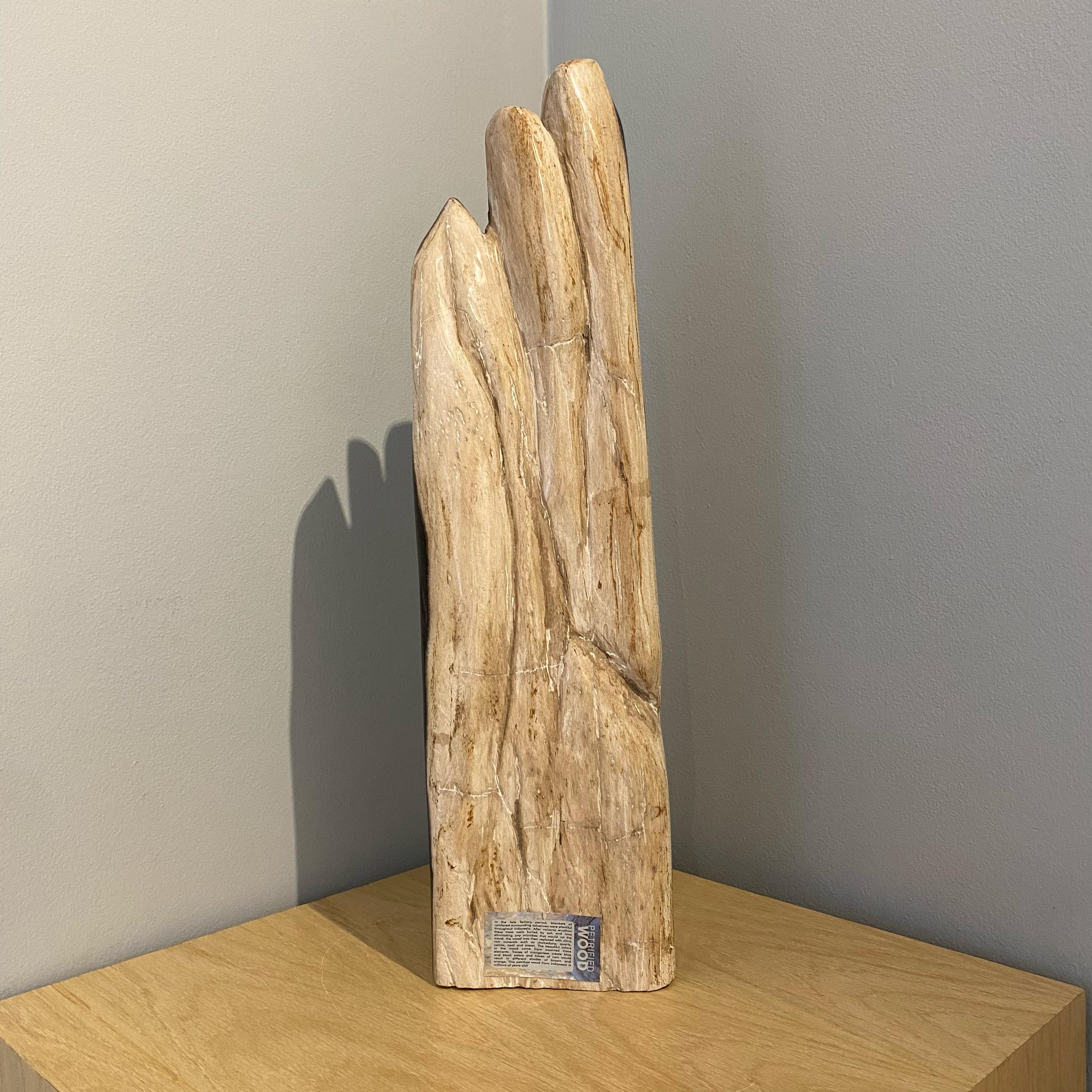 18th Century and Earlier Petrified Wood  For Sale