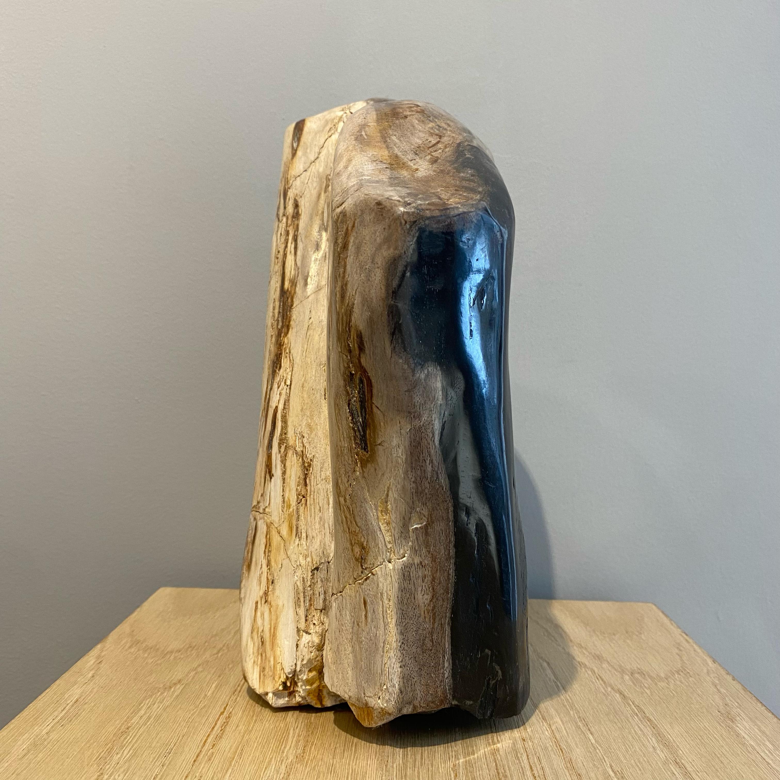 Indonésien Bois fossilisé en vente