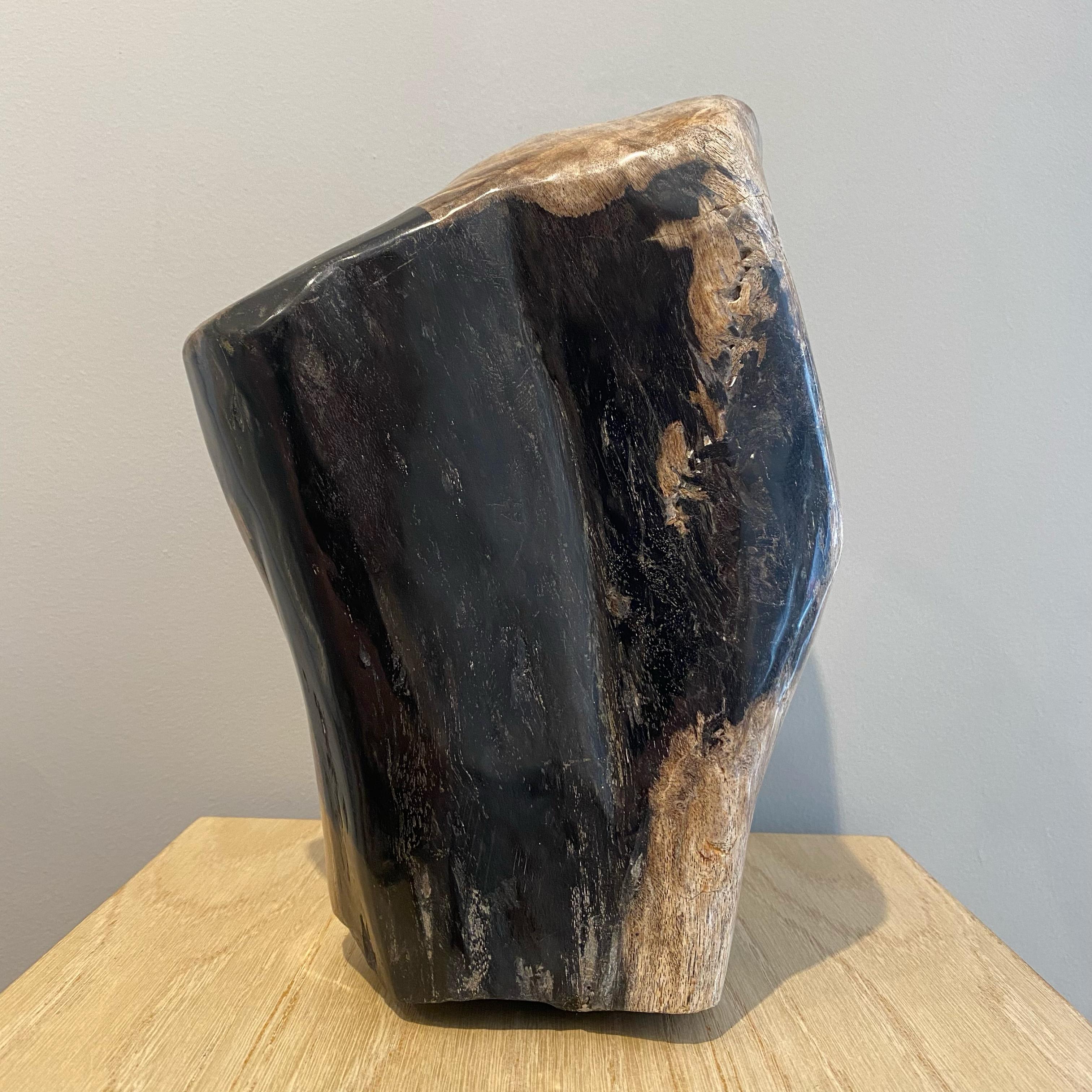 Indonesian Petrified Wood  For Sale