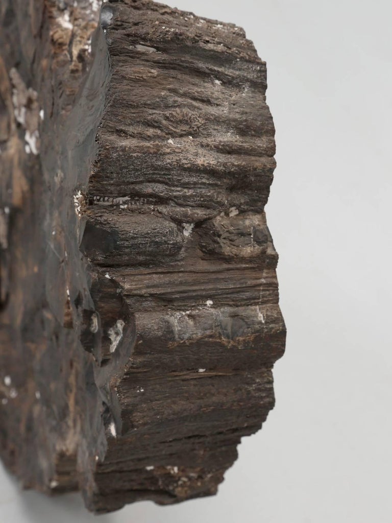 Petrified Wood at 1stDibs petrified wood for sale