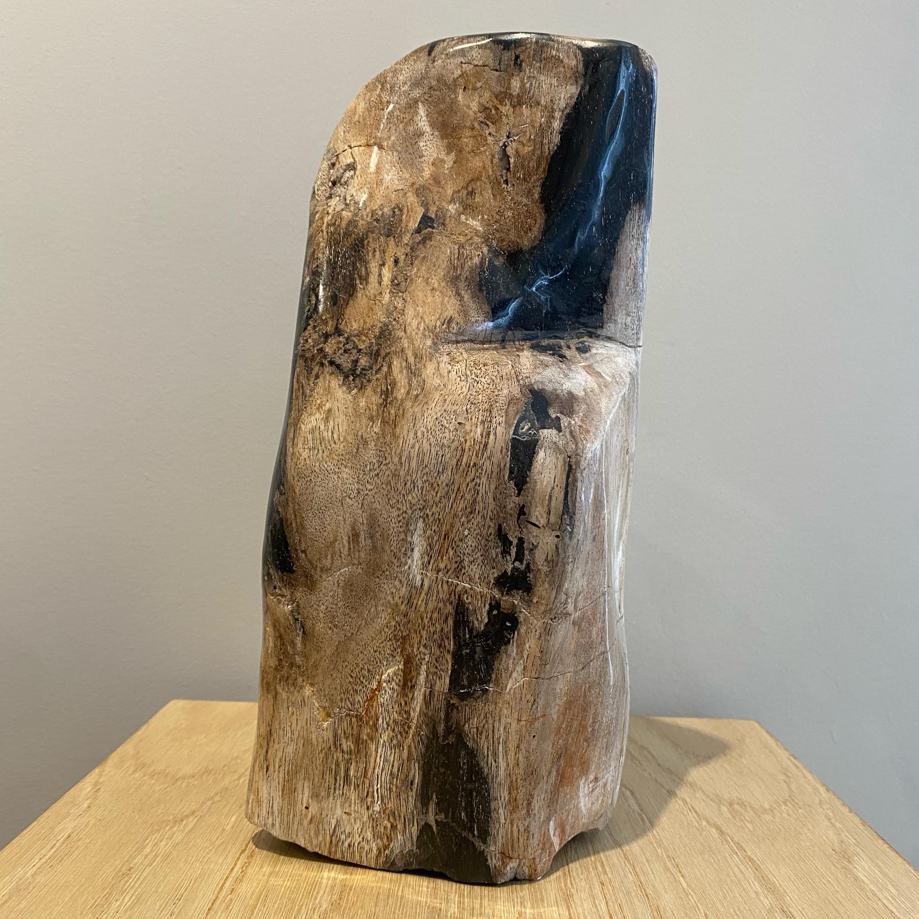 Petrified Wood  In Excellent Condition For Sale In Cambridge, GB