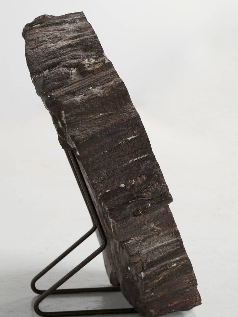 Petrified Wood at 1stDibs petrified wood for sale