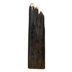 Madera petrificada