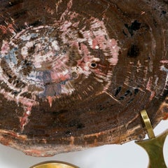 Petrified Wood from Arizona on Brass Base