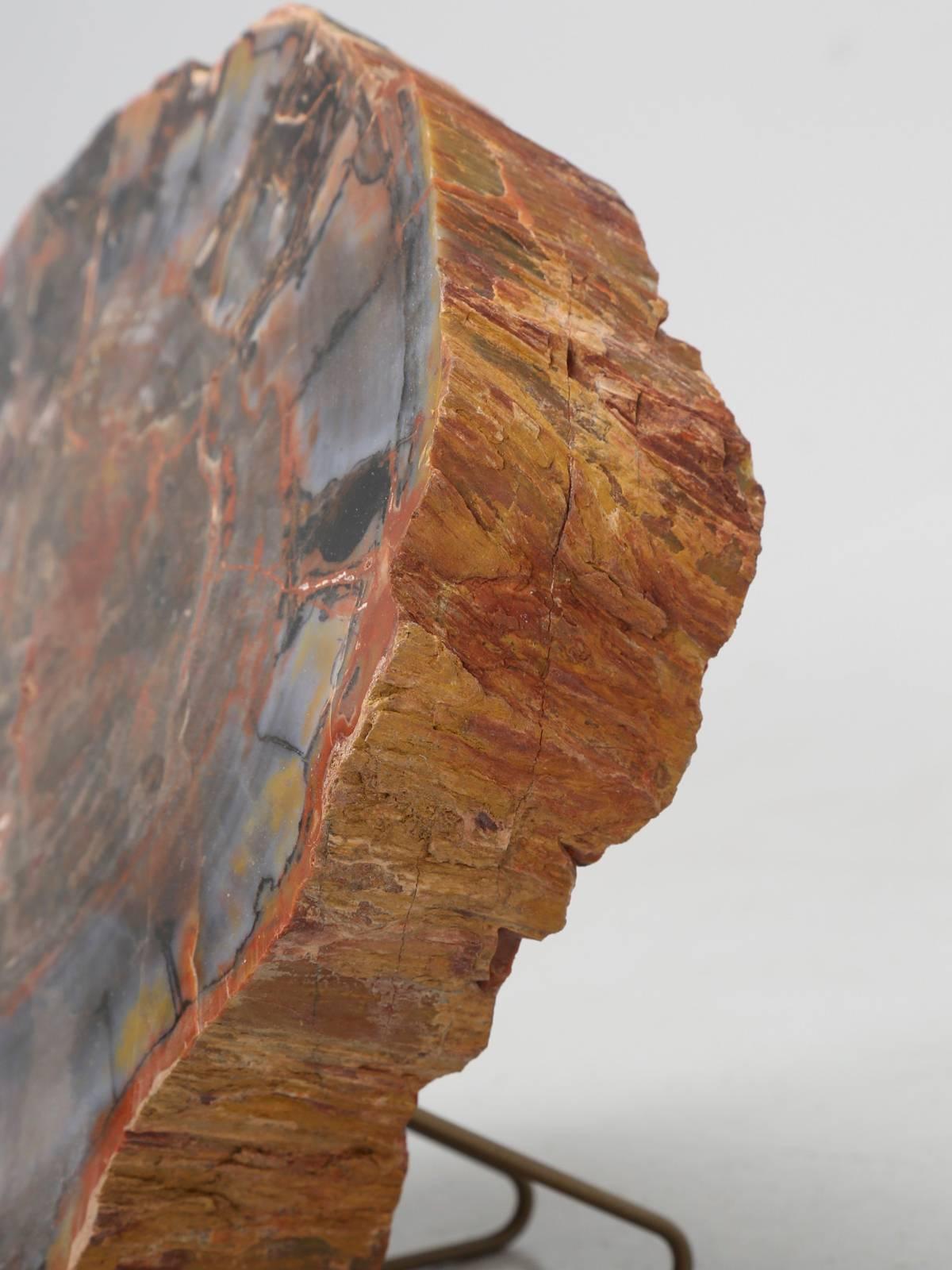 18th Century and Earlier Petrified Wood from Petrified Forest in Arizona