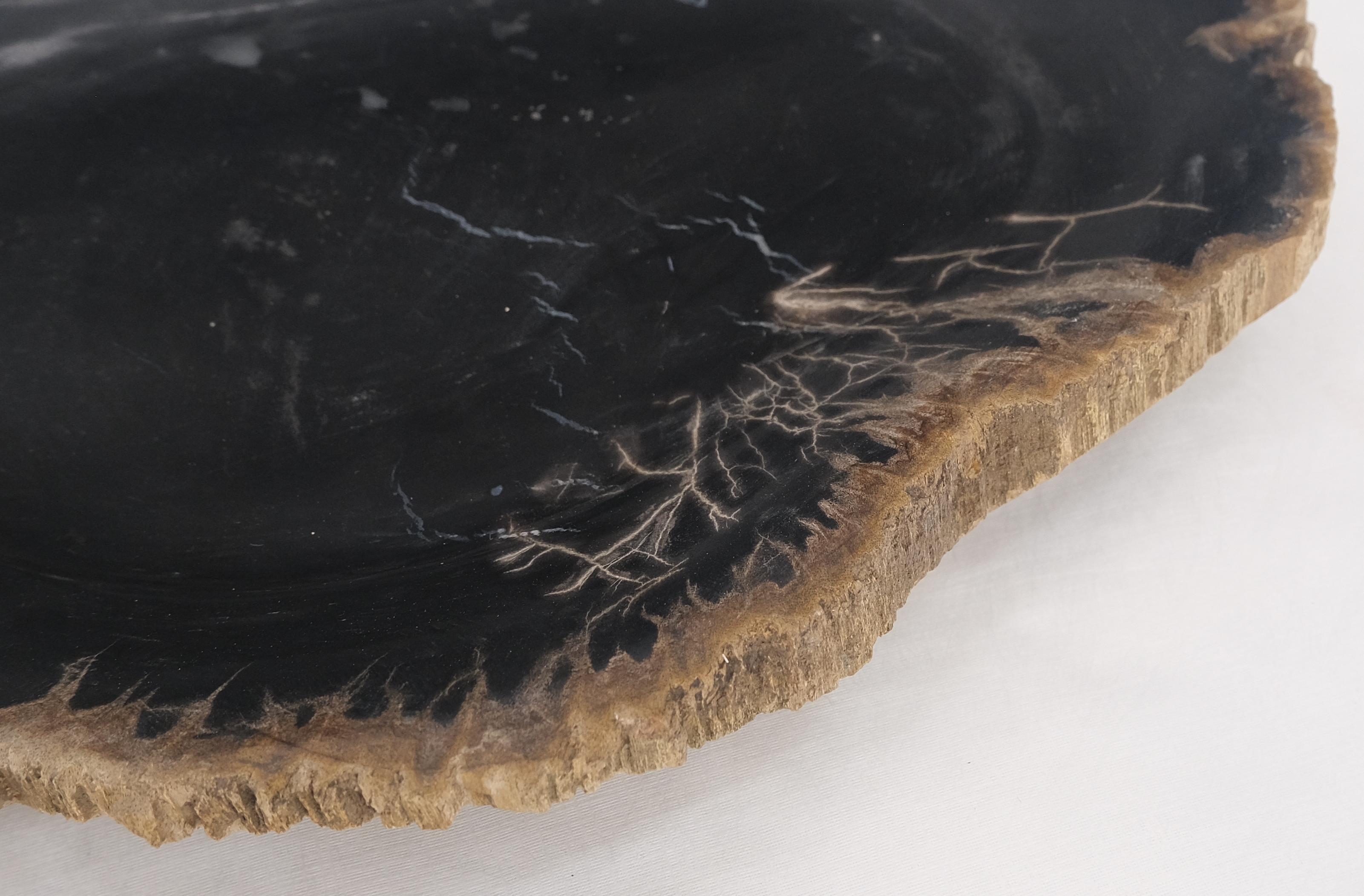 Polished Petrified Wood Heart Shape Solid Black Elongated Bowl Dish Large Plate Ashtray For Sale