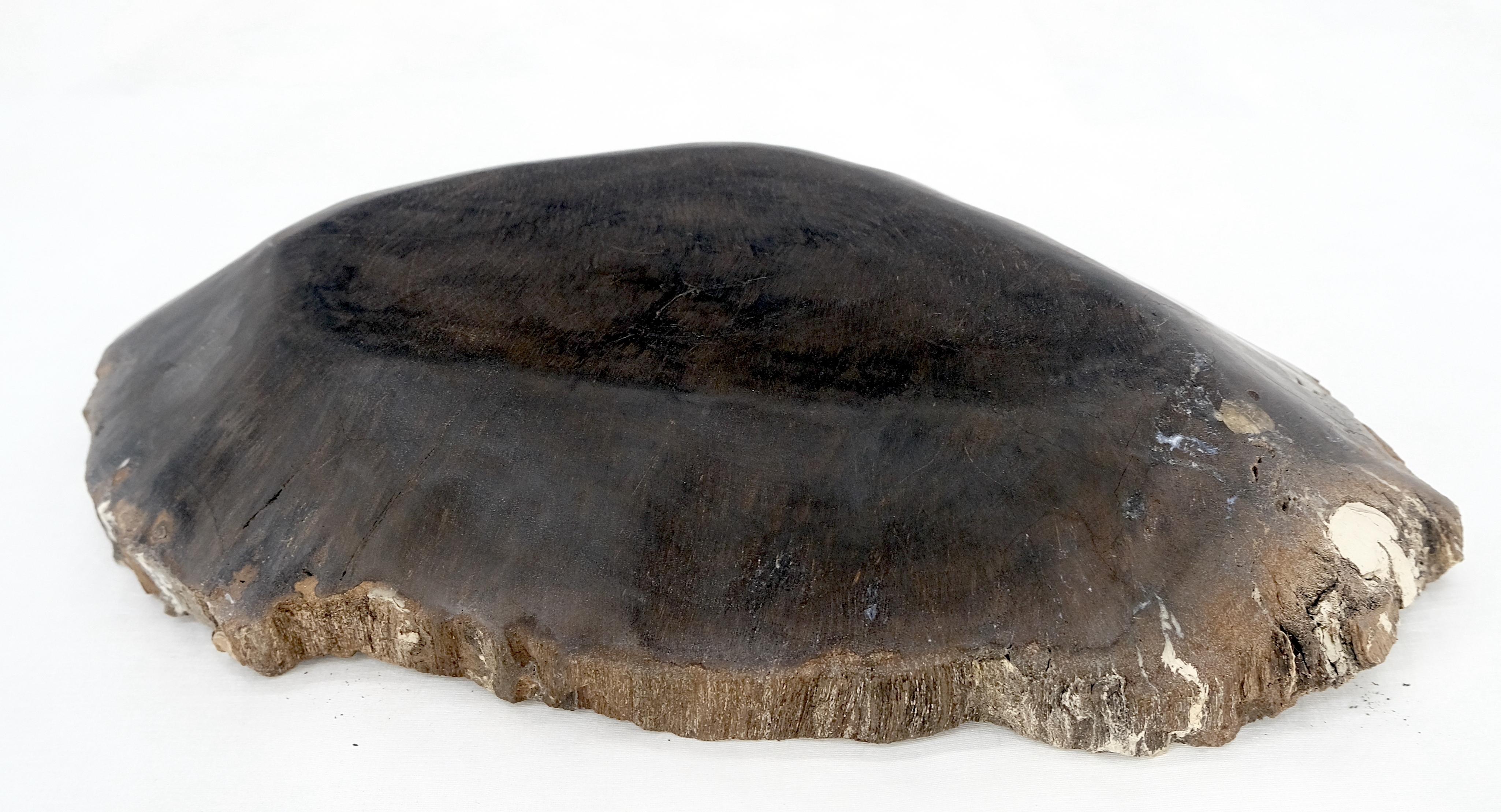 20th Century Petrified Wood Heart Shape Solid Black Elongated Bowl Dish Large Plate Ashtray For Sale