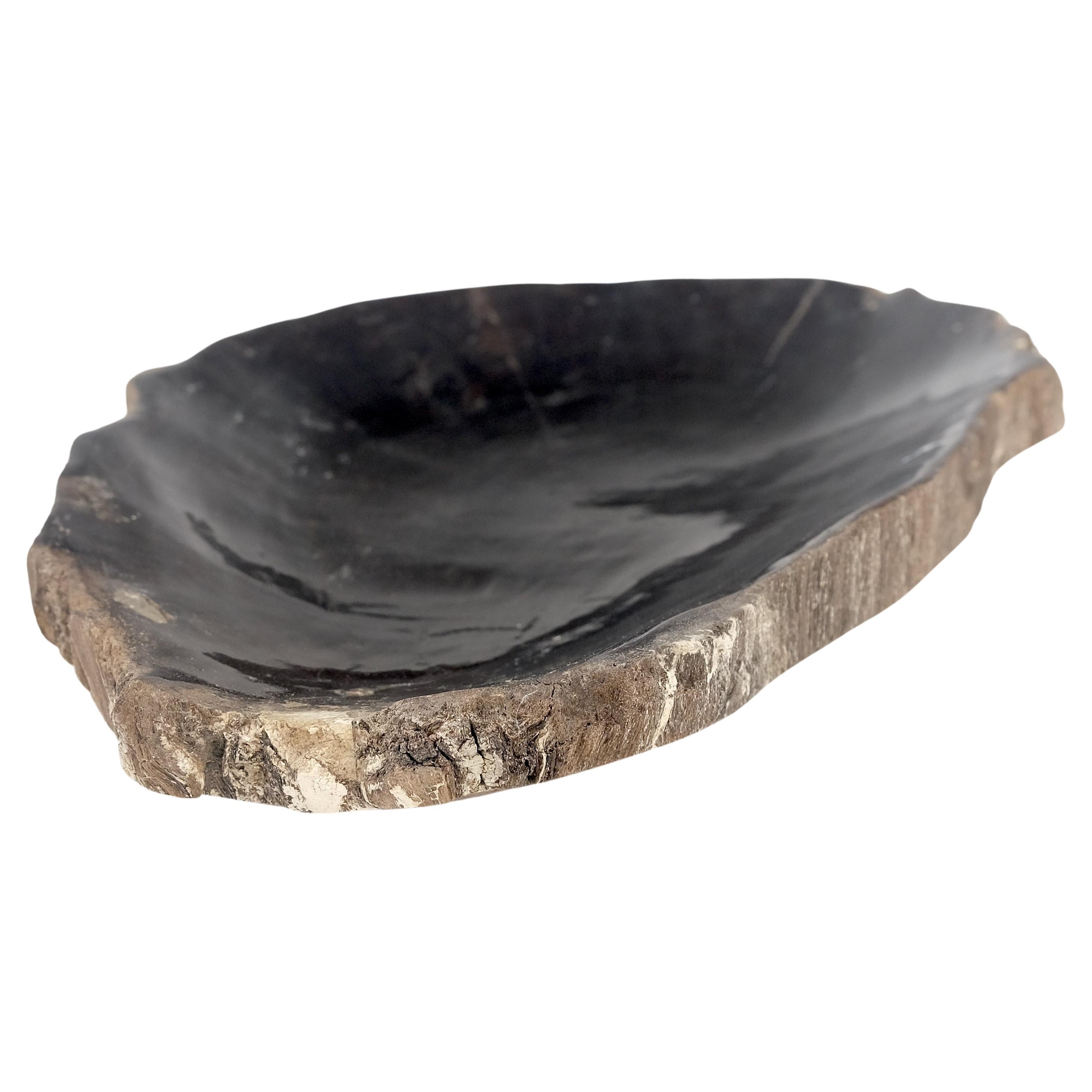 Petrified Wood Heart Shape Solid Black Elongated Bowl Dish Large Plate Ashtray For Sale