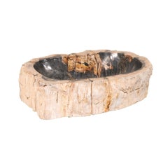 Petrified Wood Live-Edge Wash Basin, Cream & Black
