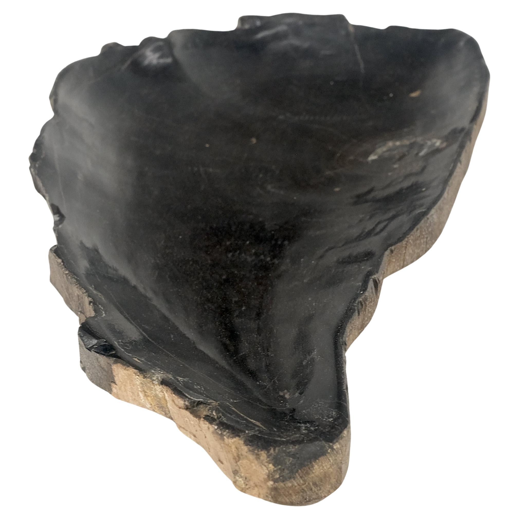 Petrified Wood Liver Shape Solid Black Elongated Bowl Dish Large Plate Ashtray