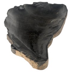 Petrified Wood Liver Shape Solid Black Elongated Bowl Dish Large Plate Ashtray