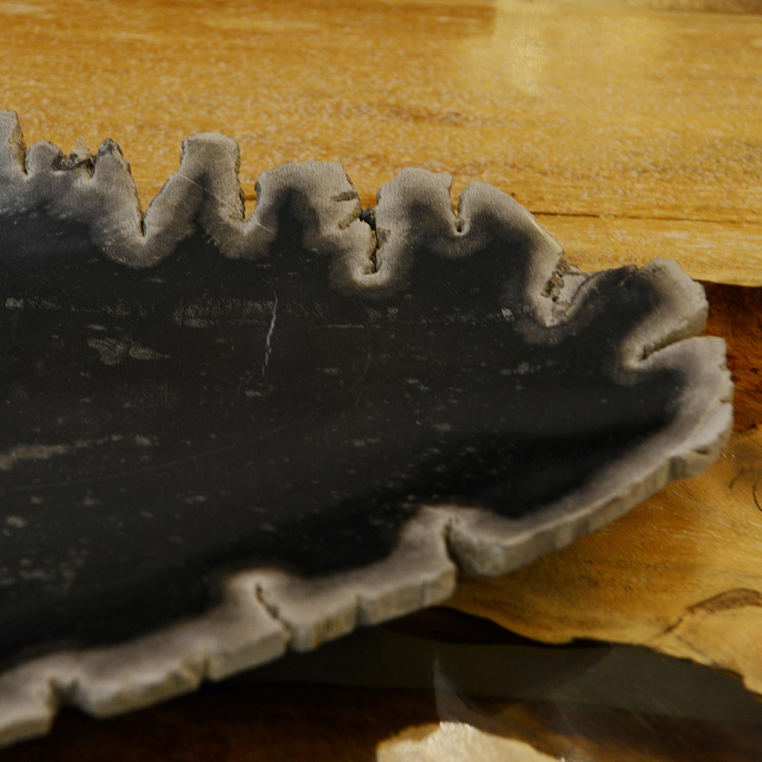 Carved Petrified Wood Long Dish For Sale