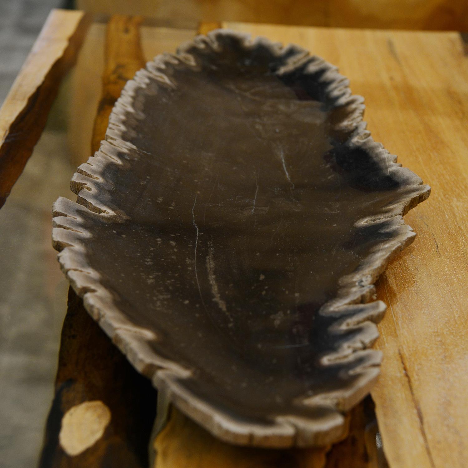 Petrified Wood Long Dish In New Condition For Sale In Paris, FR