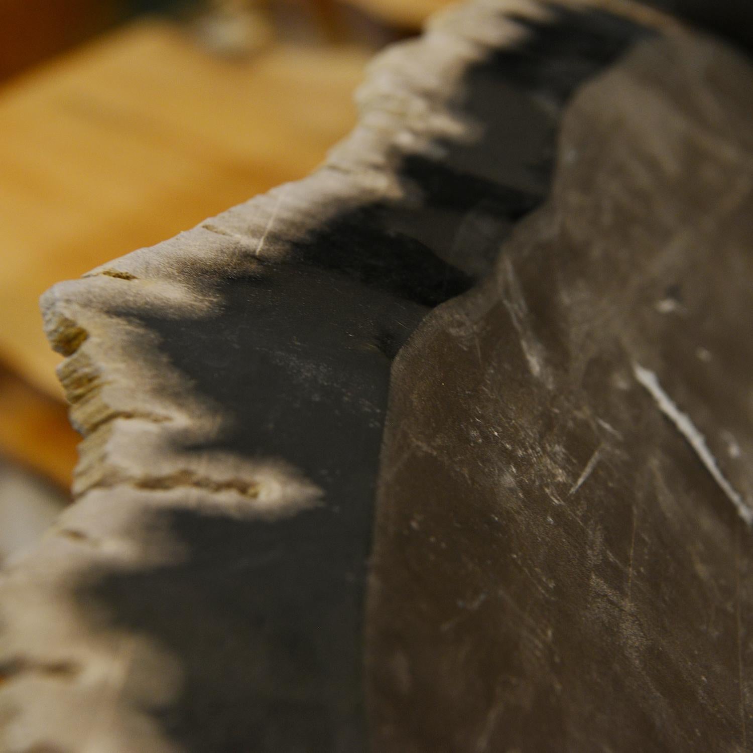 Petrified Wood Long Dish For Sale 1