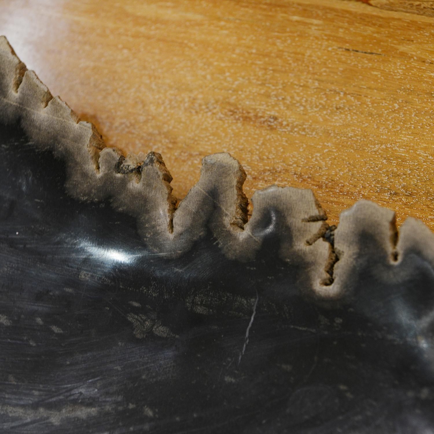 Petrified Wood Long Dish For Sale 2