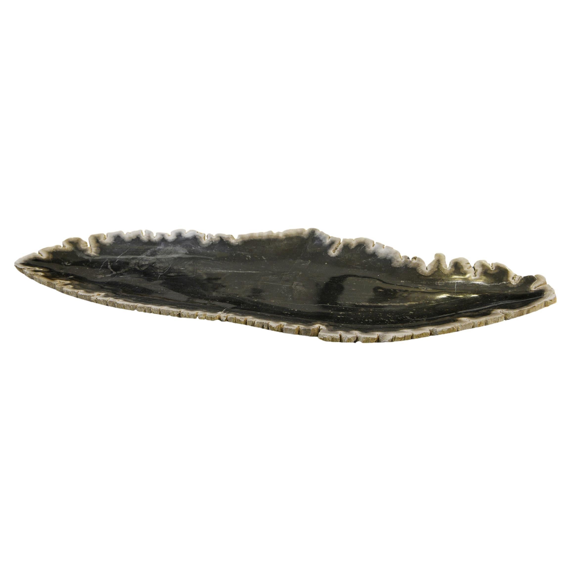 Petrified Wood Long Dish For Sale