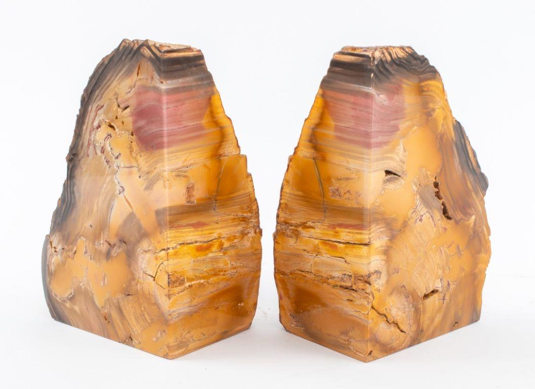 Pair of petrified wood mineral specimen sculpture bookends, each with two polished faces.

Dealer: S138XX