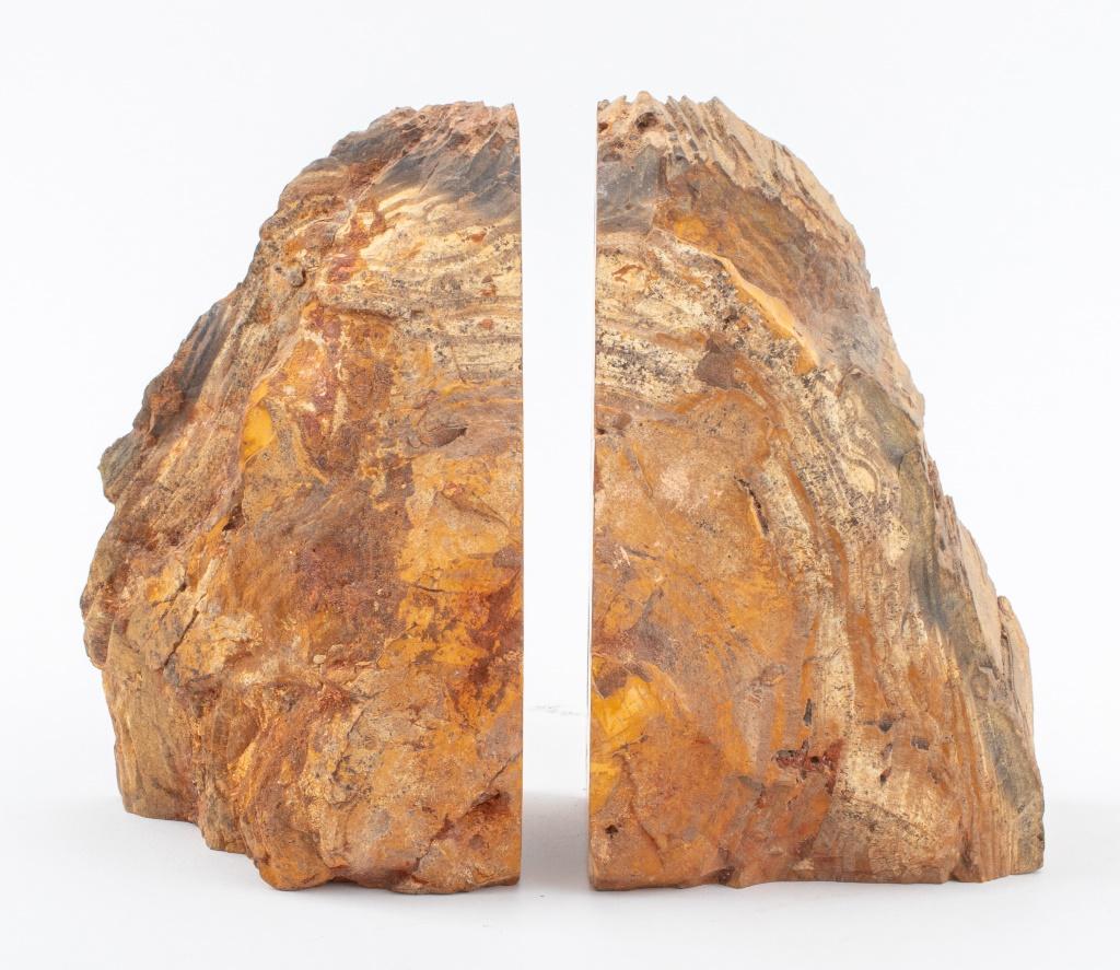 Buchstützen aus versteinertem Holz mit Mineralexemplar, Paar (Unbekannt) im Angebot