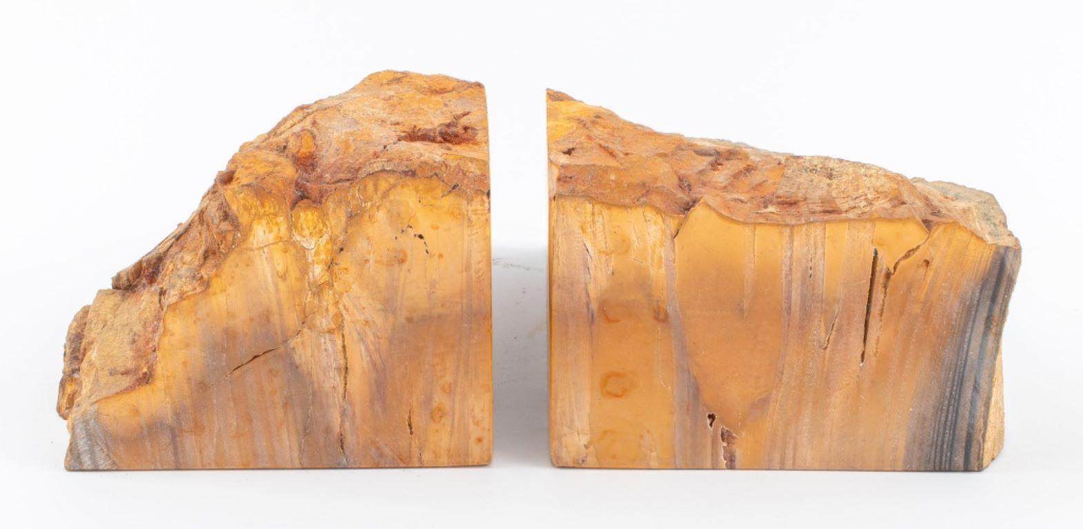 Buchstützen aus versteinertem Holz mit Mineralexemplar, Paar im Zustand „Gut“ im Angebot in New York, NY