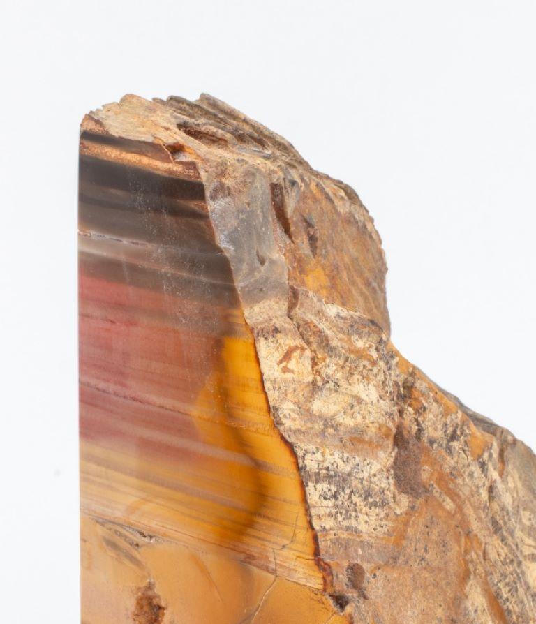 Buchstützen aus versteinertem Holz mit Mineralexemplar, Paar (20. Jahrhundert) im Angebot