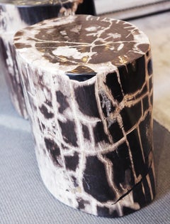 Mesa auxiliar de madera petrificada n°C