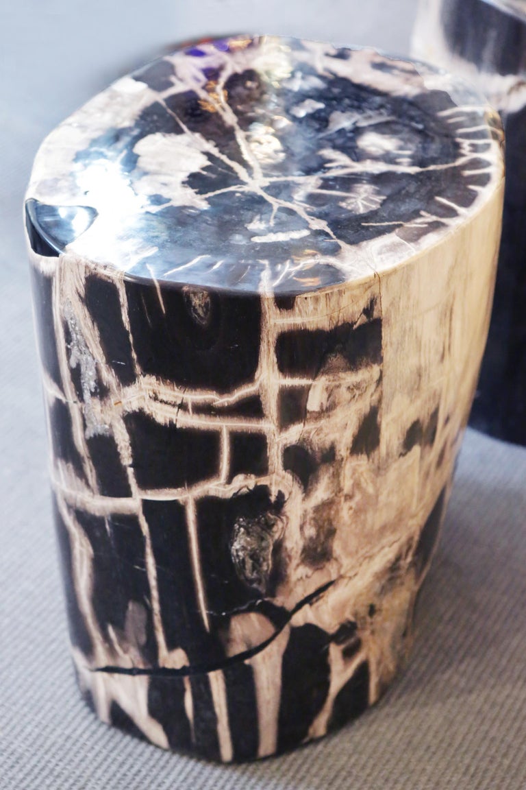 Indonesian Petrified Wood n°C Side Table For Sale