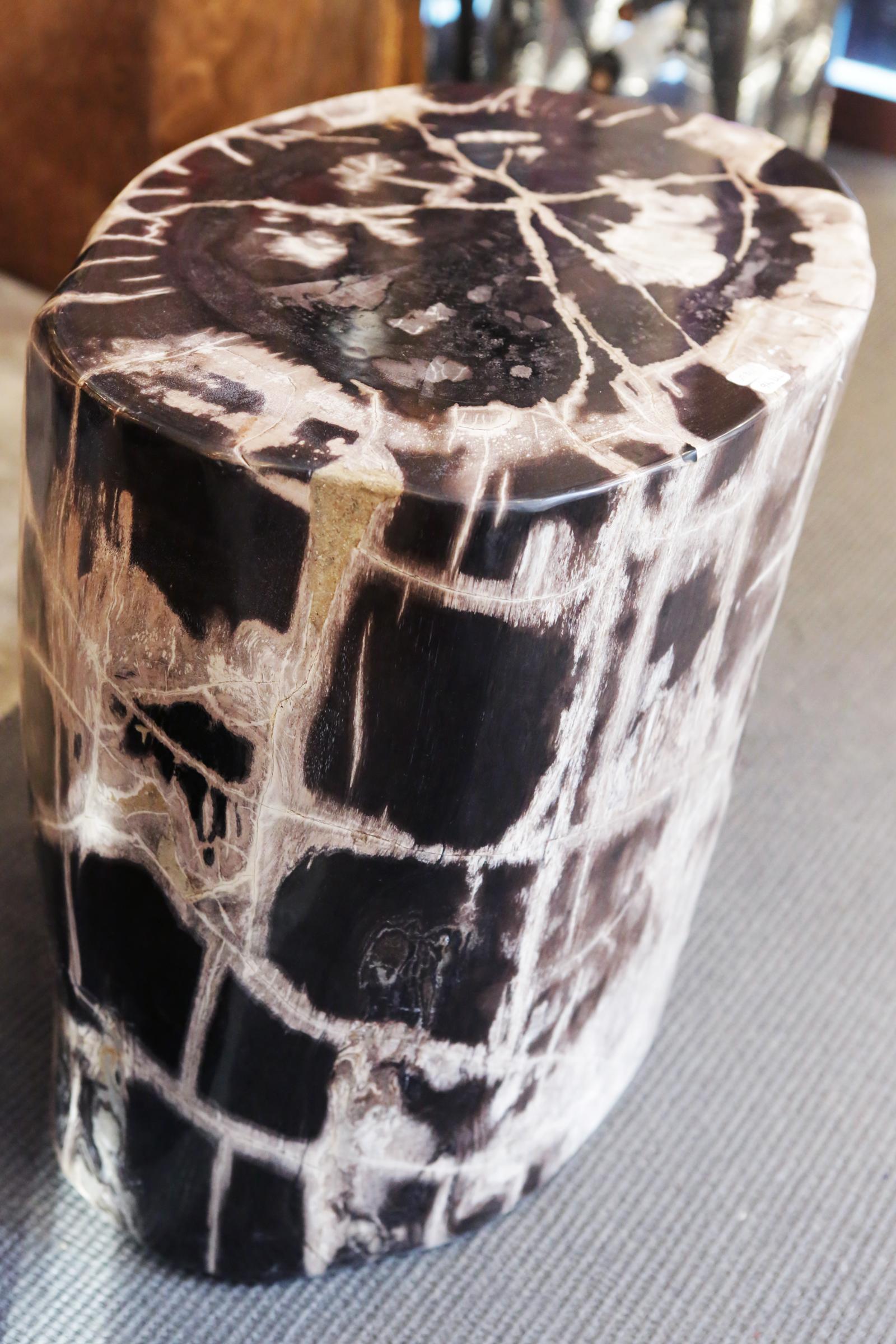 Hand-Crafted Petrified Wood n°C Side Table