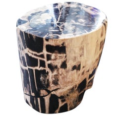 Petrified Wood n°C Side Table
