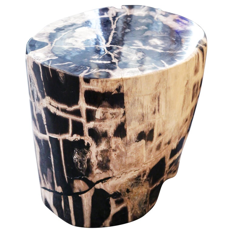 Petrified Wood n°C Side Table For Sale