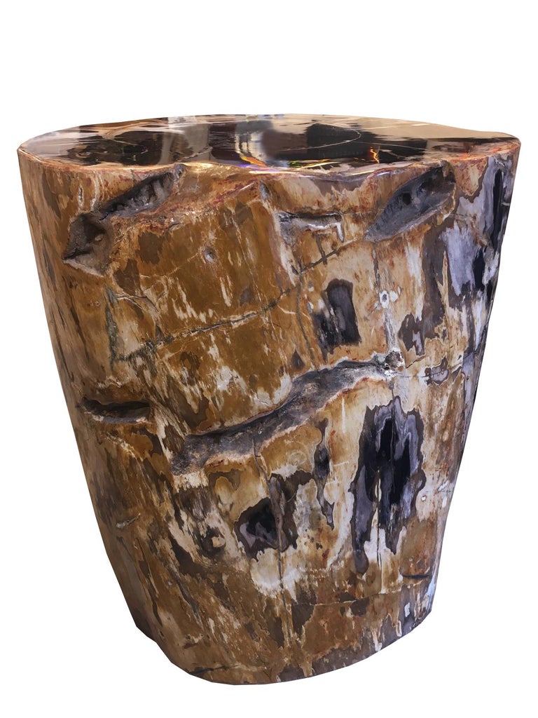 Indonesian Petrified Wood n°D Side Table For Sale