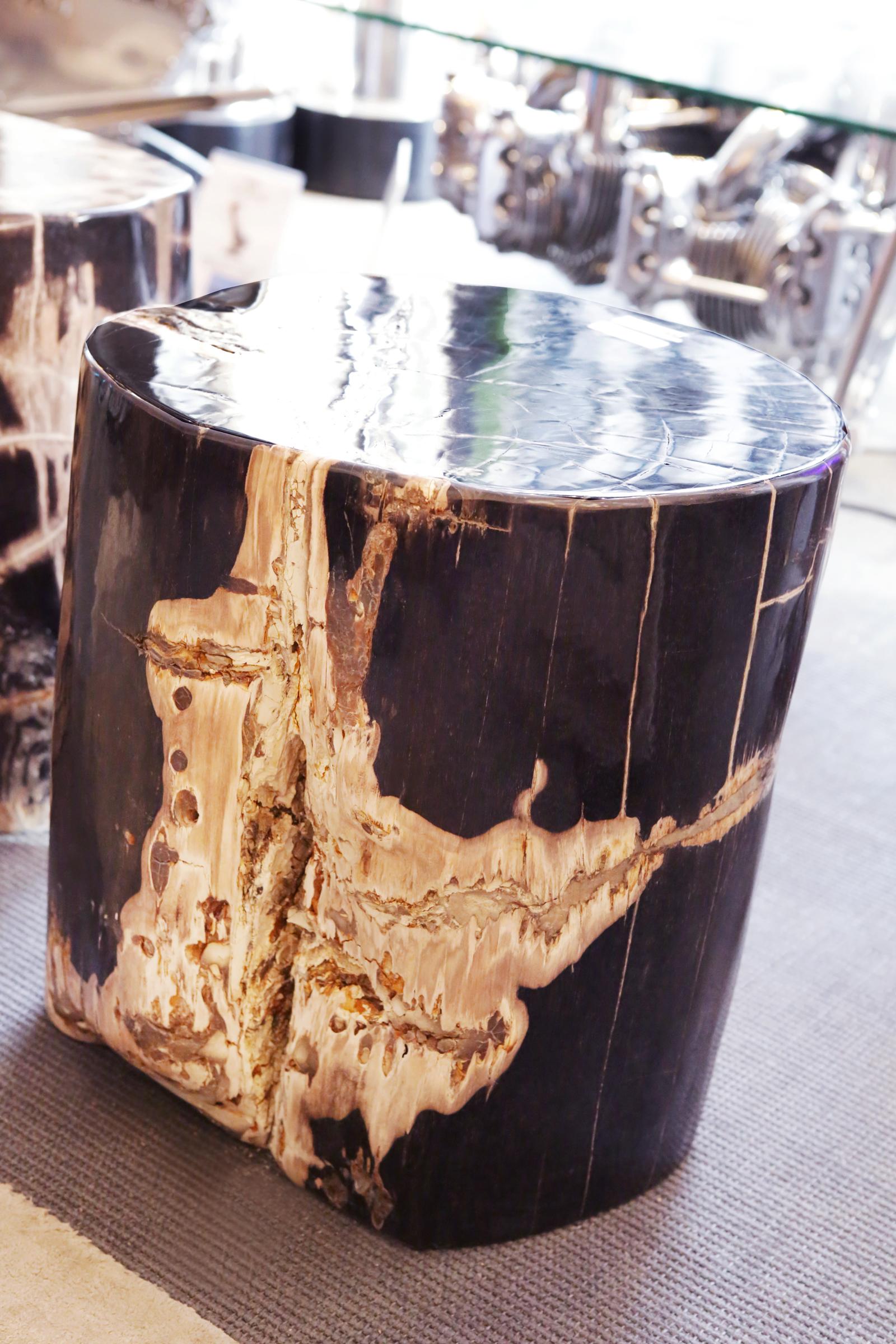 Hand-Crafted Petrified Wood n°D Side Table