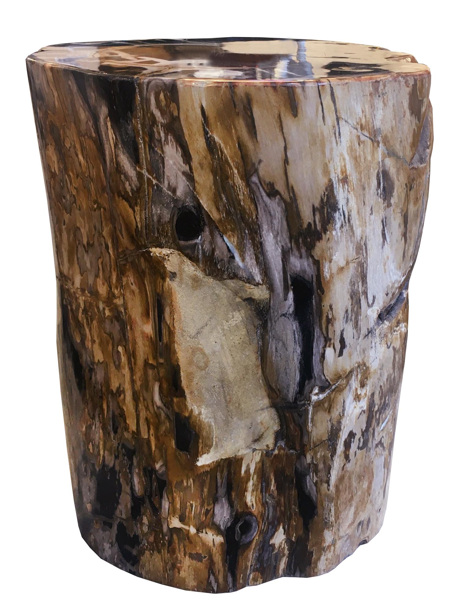 Hand-Crafted Petrified Wood n°D Side Table