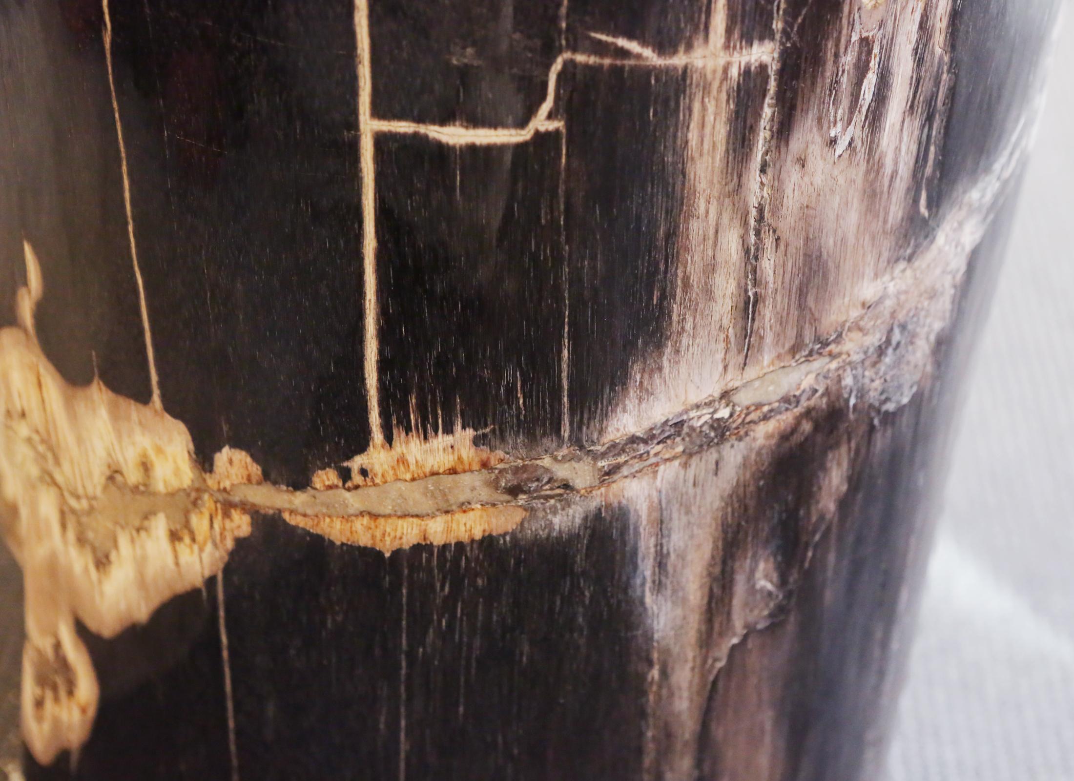 Petrified Wood n°D Side Table In Excellent Condition In Paris, FR