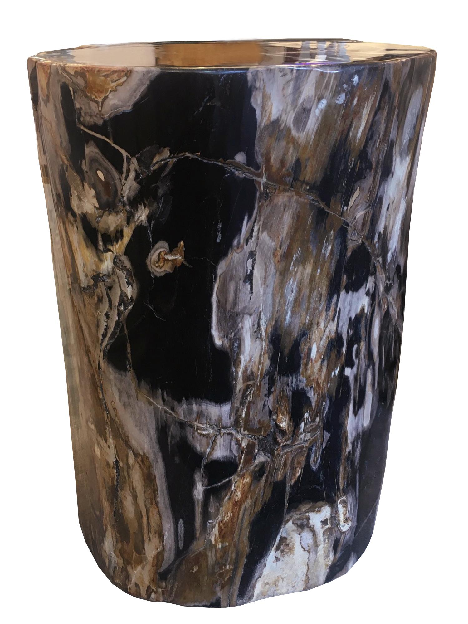Contemporary Petrified Wood n°D Side Table